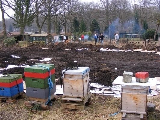 März 2011 Pappe u. Kompost